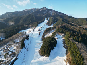 2月22日も元気に営業します！