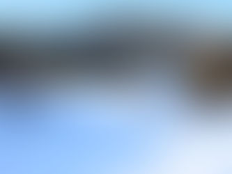 2月21日も元気に営業中！