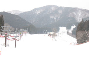 2月6日も元気に営業中!&土日の天気について