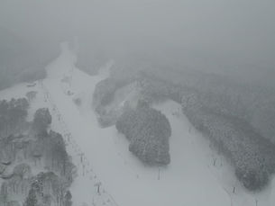 本日（1月24日（土））も元気に営業中！