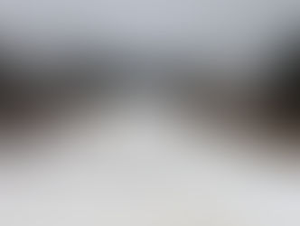 本日（2月28日）も元気に営業中！