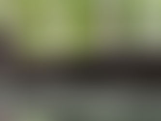 本日も11時よりオープンいたします
