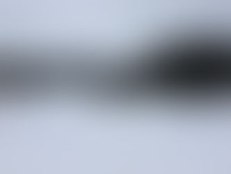 雪舞ってます。