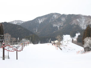 ２月２０日（金）も元気に営業中！