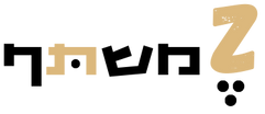 Z משנה לוגו (4).png