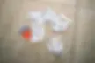20250126-0540.webp