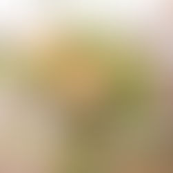 How to Make your Proposal Extra Special