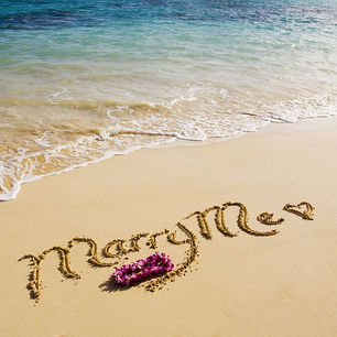 What does a Proposal Planner do?