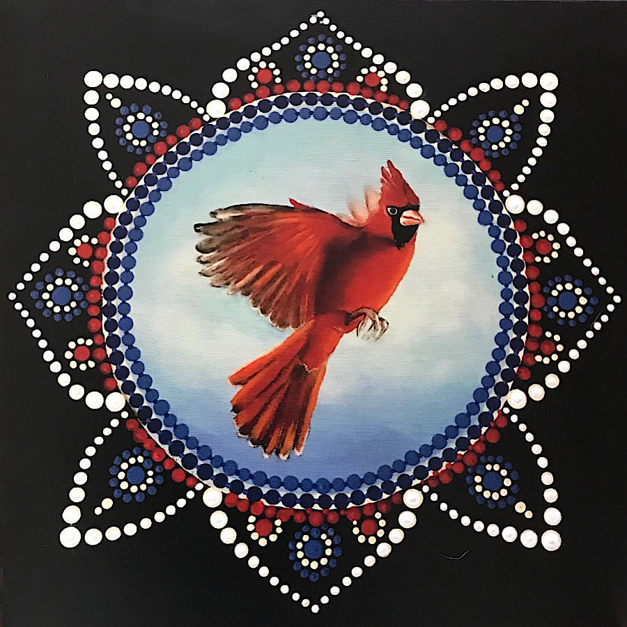 Male Cardinal