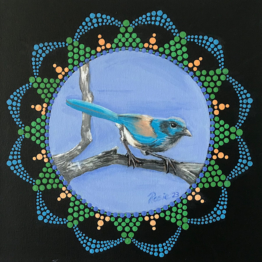 Blue Jay