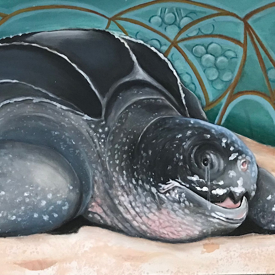 Leatherback Turtle