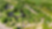 Glenesk Park Photos - website (3).png
