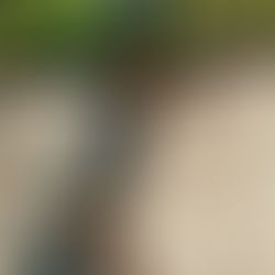 Lunettes sur mesure multicolores / multicolor bespoke eyewear