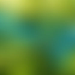 Lunettes sur mesure turquoises / turquoise bespoke eyewear