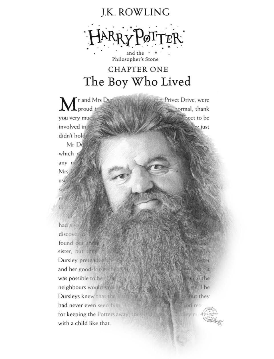 harry potter cards, cool harry potter prints, harry potter gifts, gifts for harry potter fans, harry potter merch