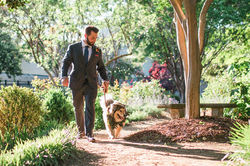ELEGANT SPRING MCGILL ROSE GARDEN