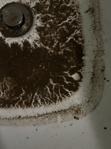 soil in the drain - inspiration