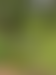 my grandma gardening