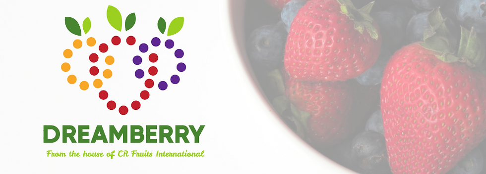 Berry website.png