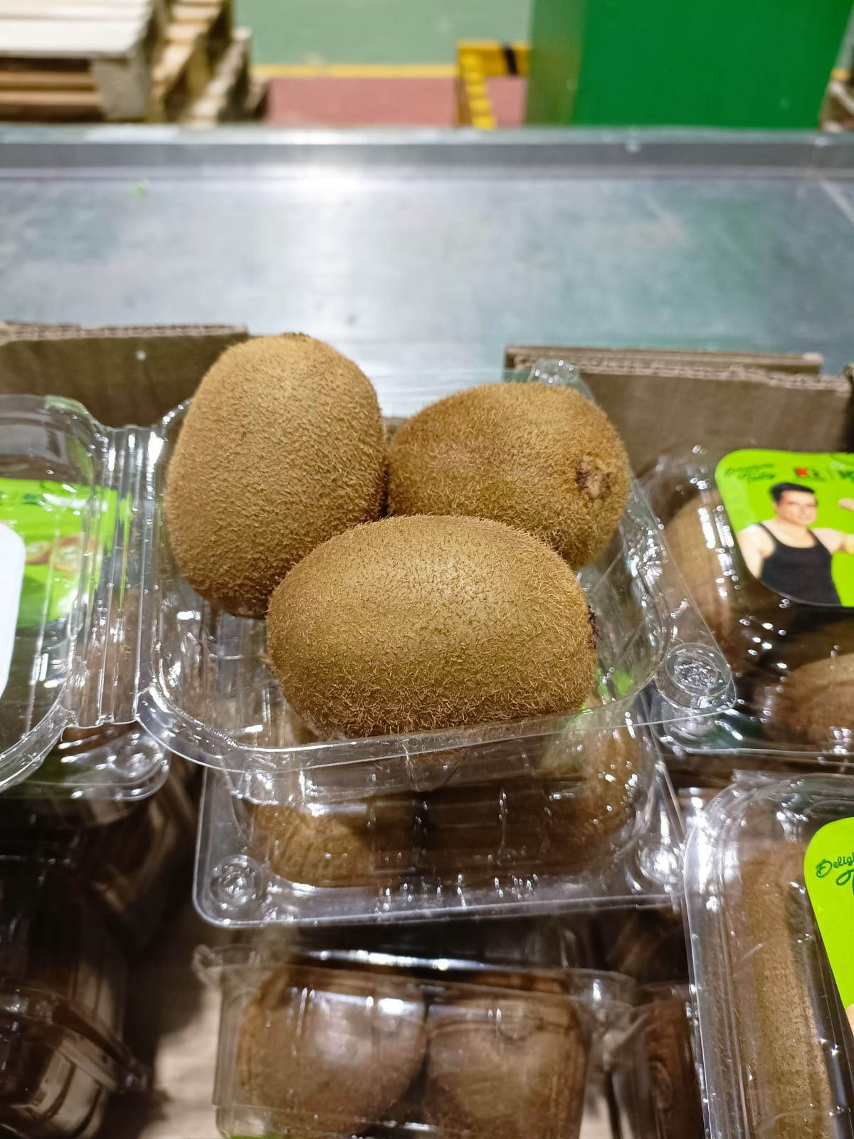 Kiwi pack of 3