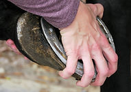 P1240457 (2).JPG