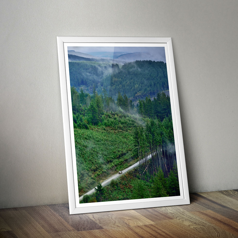Thumbnail: Dyfi Forest Wales Rally