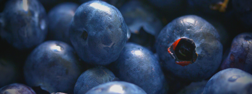 Blueberries_edited_edited_edited.jpg