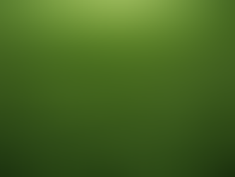 Expert Lawn Care Tips for Brevard County Homeowners