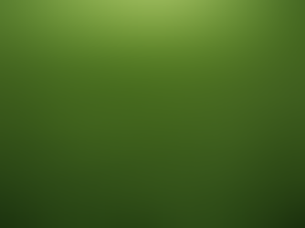Expert Lawn Care Tips for Brevard County Homeowners