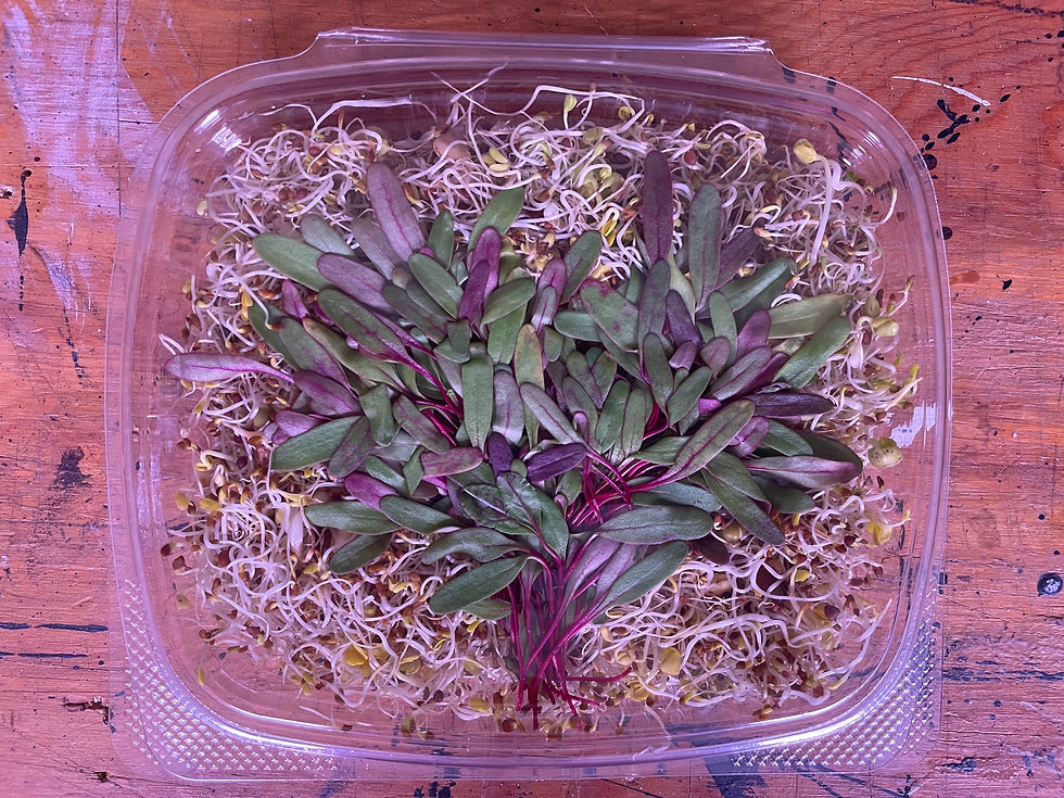 Thumbnail: A pack of colorful and nutrient-packed farmers mixed fresh microgreens arranged in a heart shape