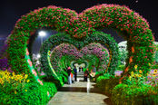 What is Love?
