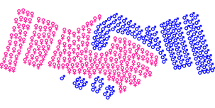 Males and Females