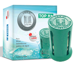 Top H+