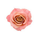 Facebook Carousel Ad (3).png