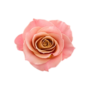 Facebook Carousel Ad (3).png