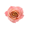 Facebook Carousel Ad (3).png