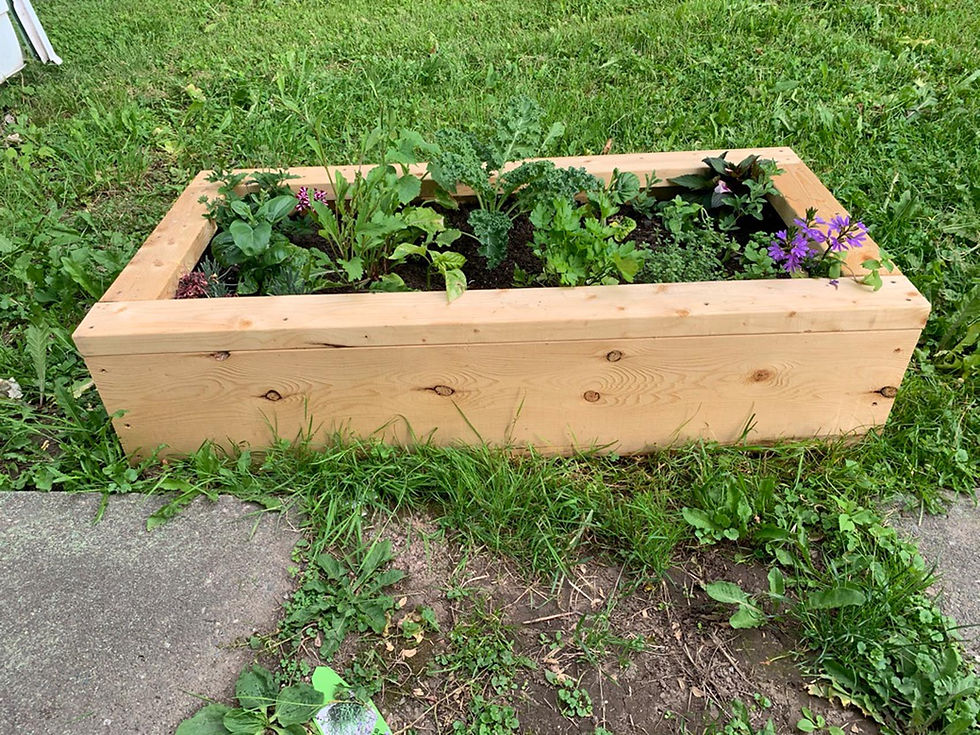 Thumbnail: 2'x4' Garden Bed