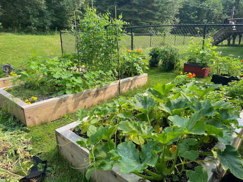 221780929_1054059315398467_283138207455215543_n (3).png