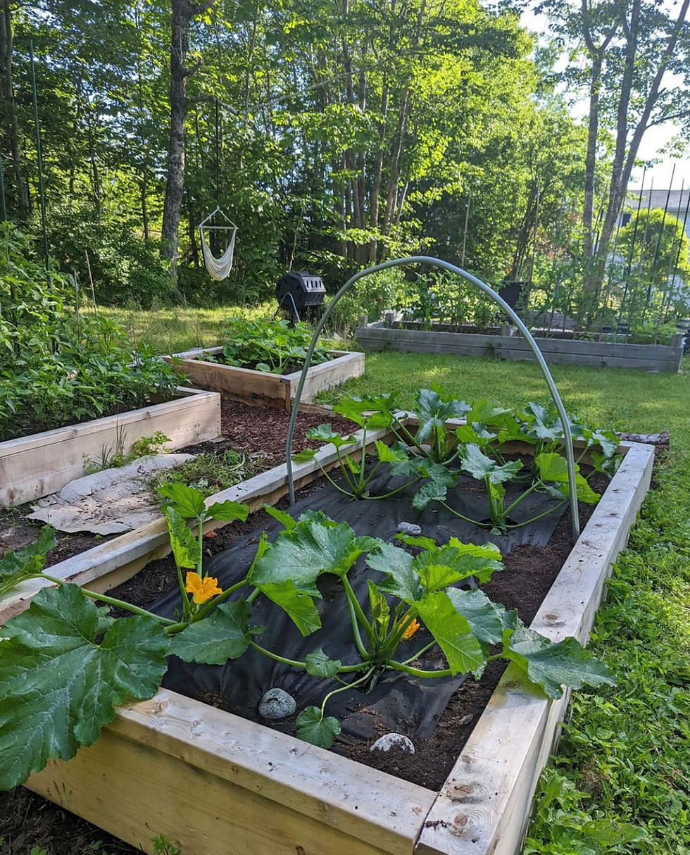 Thumbnail: 4'x8' Garden Bed