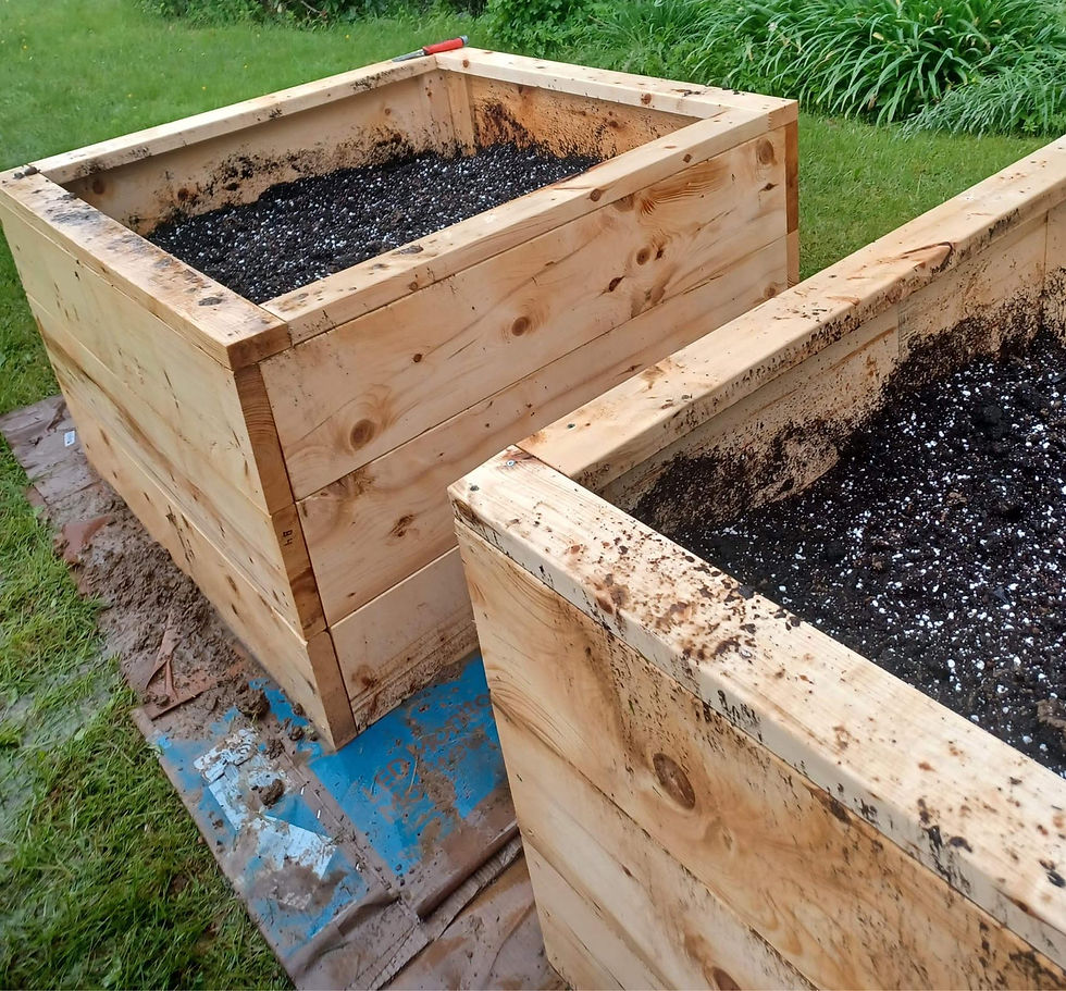 Thumbnail: 4'x4' Garden Bed @ Triple Layer 29.5" High