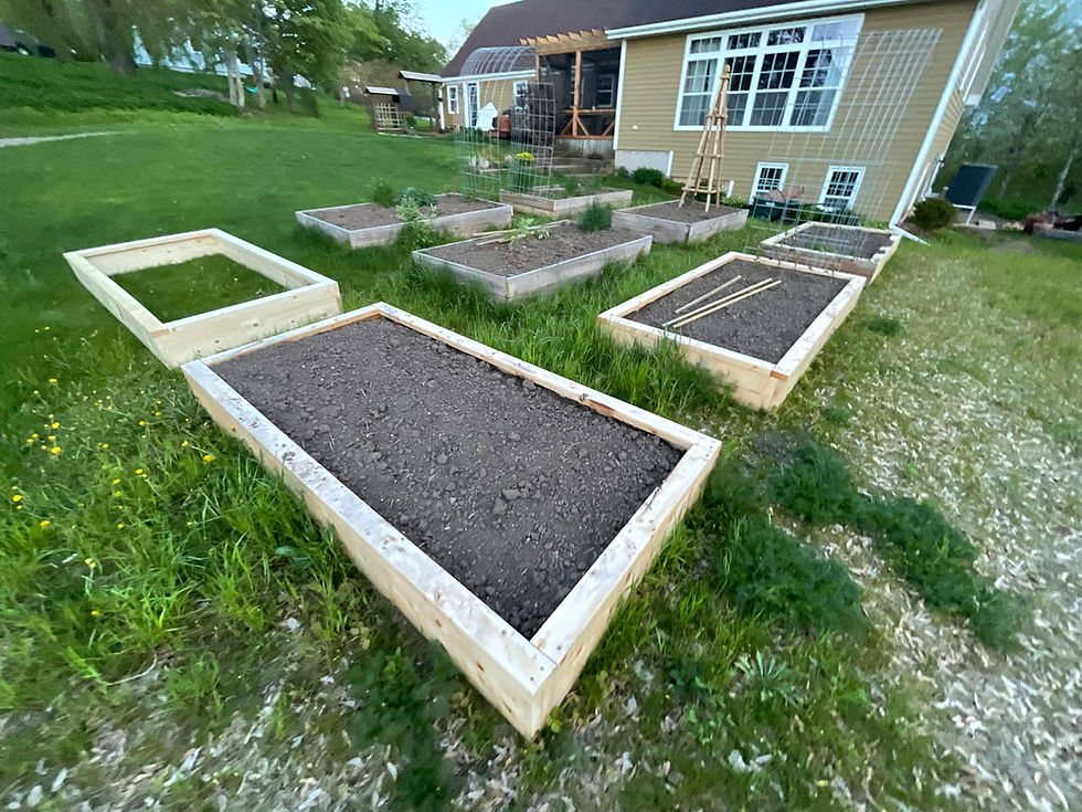 Thumbnail: 4'x8' Garden Bed