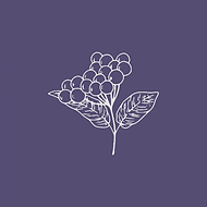5.png
