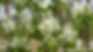 DSC01259_edited.jpg