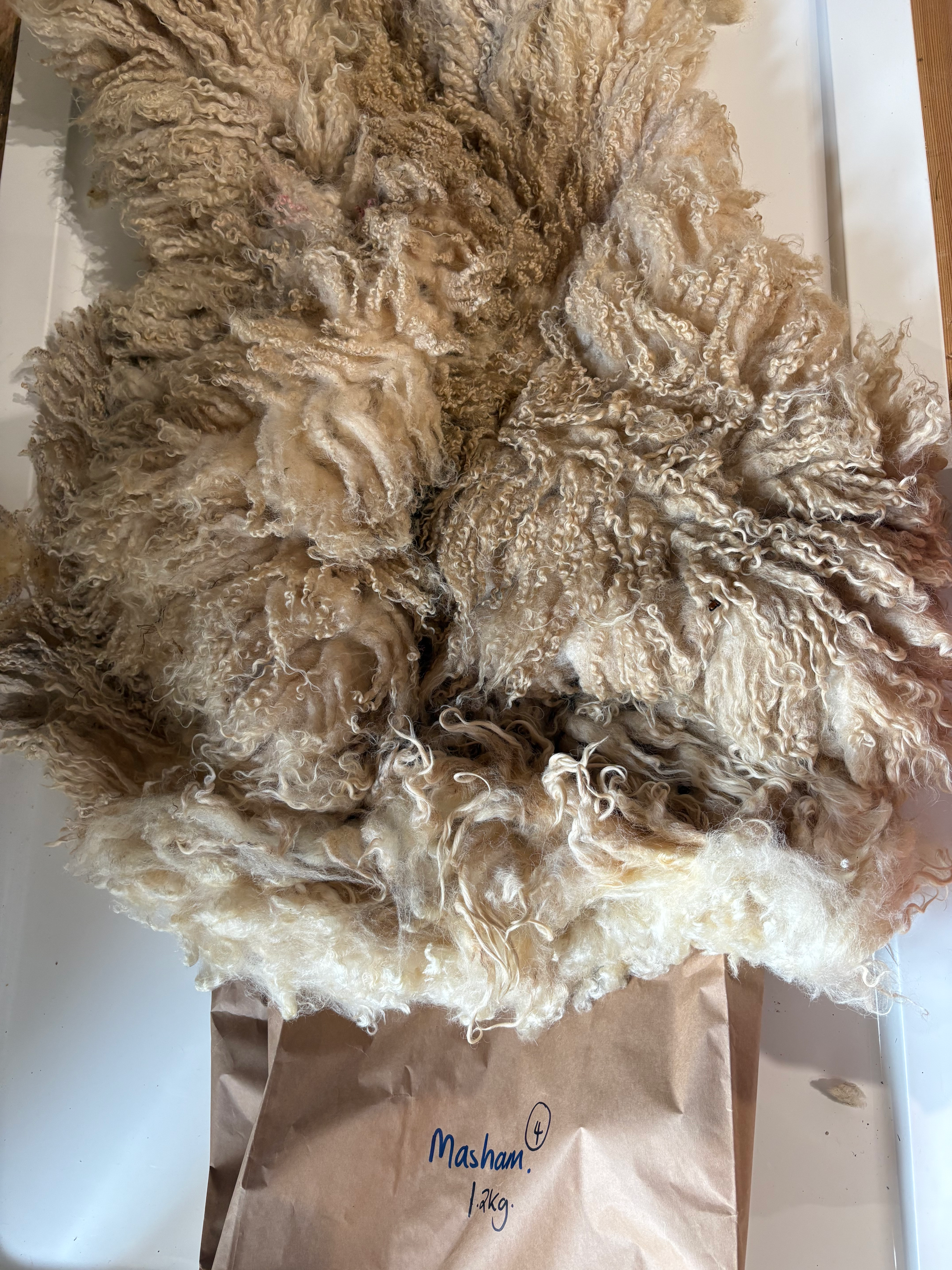 Masham Raw Fleece 1.2kg