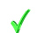 Green checkmark bullet point for services
