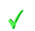 Green checkmark bullet point for services