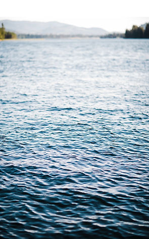 IMG_0005.png