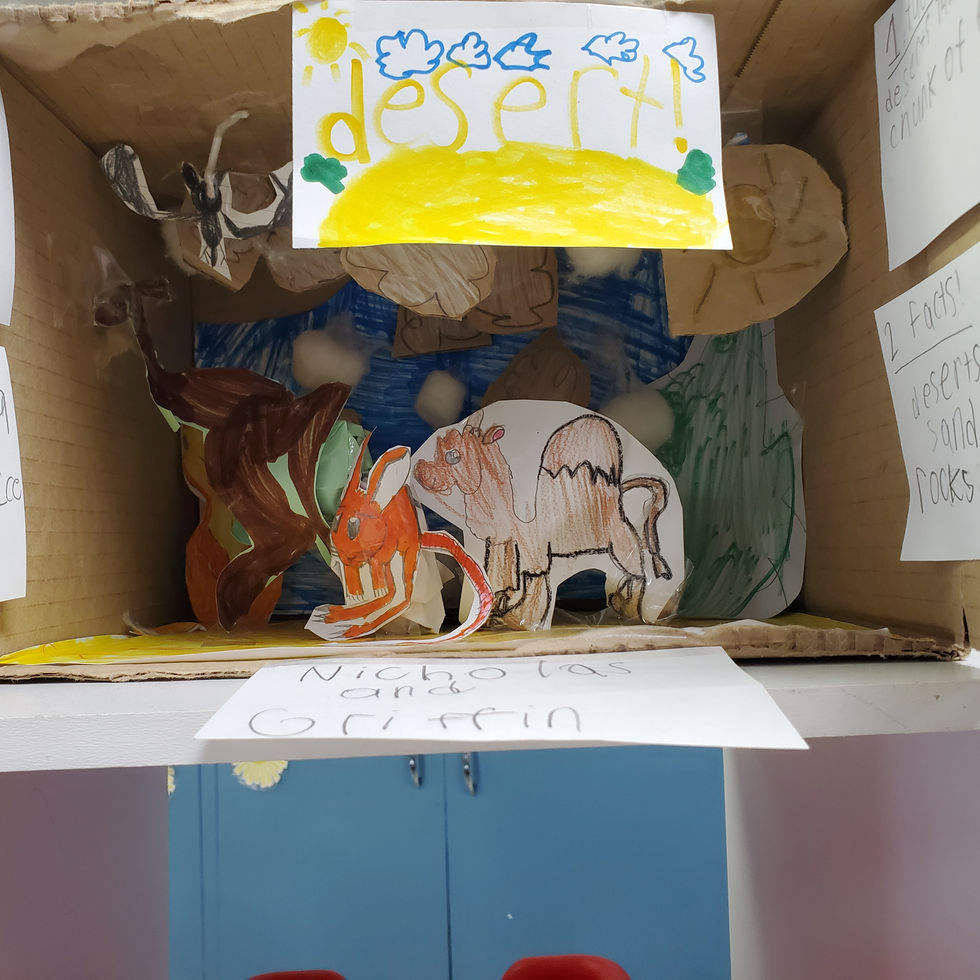 Ecosystems Group Project