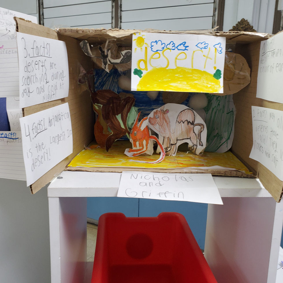 Ecosystems Group Project