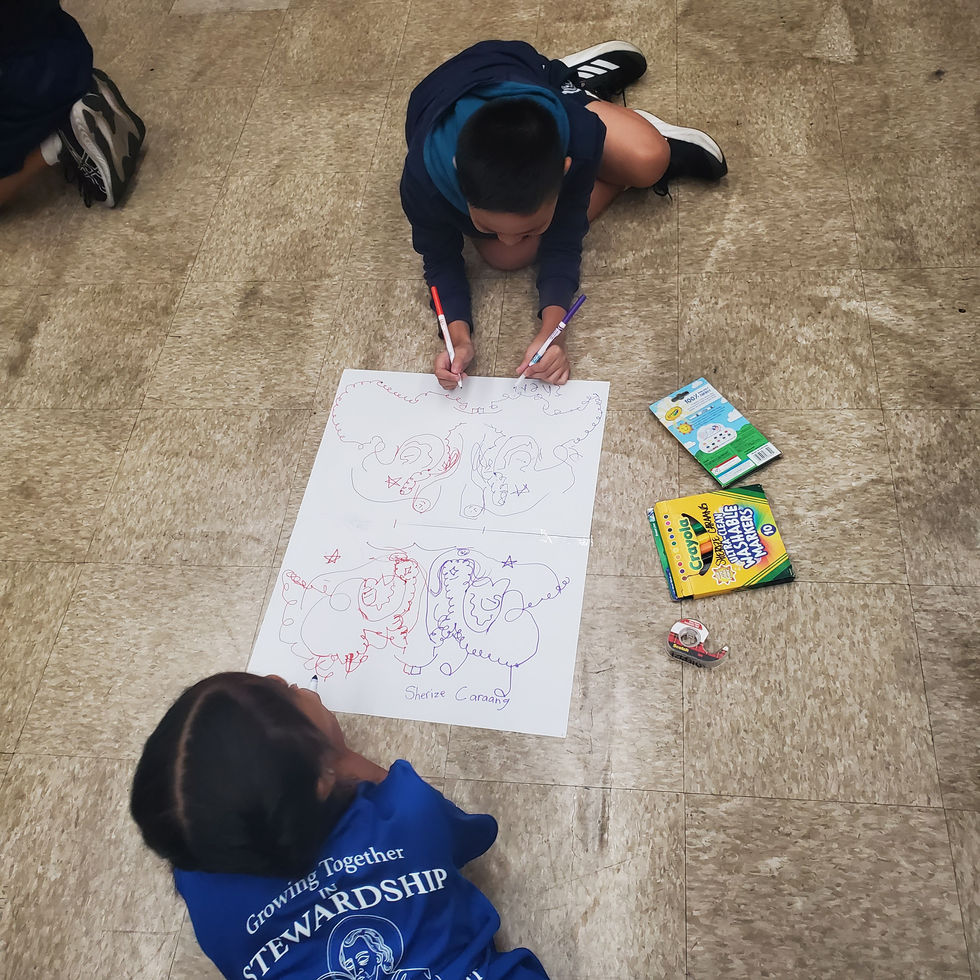Collaborative Art: Reflective Drawing